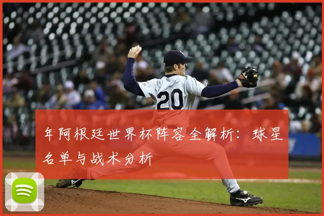 年阿根廷世界杯阵容全解析：球星名单与战术分析