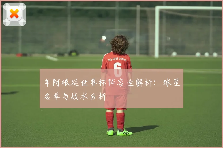 年阿根廷世界杯阵容全解析：球星名单与战术分析