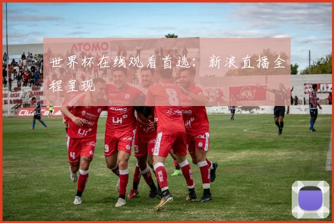 世界杯在线观看首选：新浪直播全程呈现