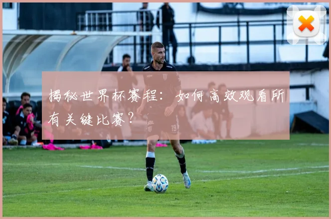 揭秘世界杯赛程：如何高效观看所有关键比赛？
