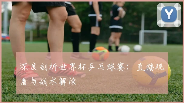 深度剖析世界杯乒乓球赛：直播观看与战术解读