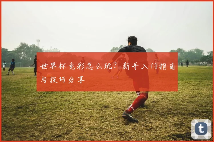 世界杯竞彩怎么玩？新手入门指南与技巧分享