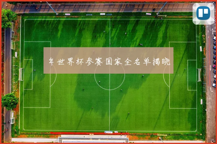 年世界杯参赛国家全名单揭晓