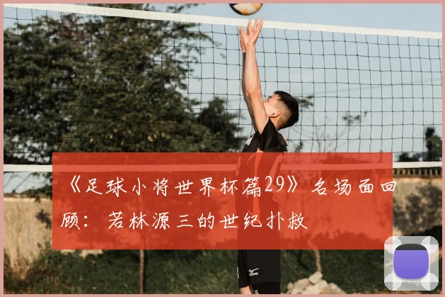 《足球小将世界杯篇29》名场面回顾:若林源三的世纪扑救