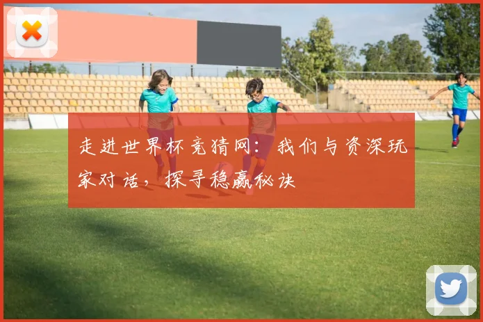 走进世界杯竞猜网：我们与资深玩家对话，探寻稳赢秘诀