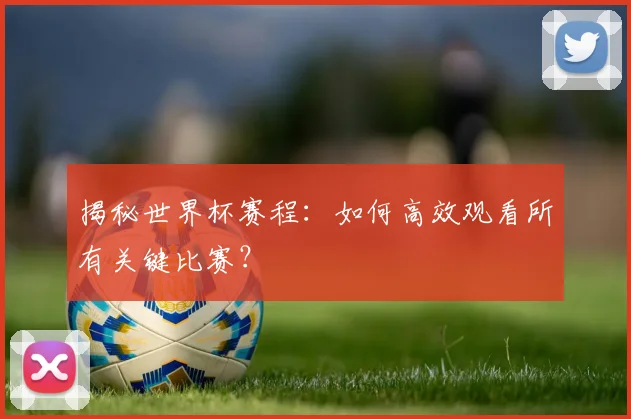 揭秘世界杯赛程：如何高效观看所有关键比赛？