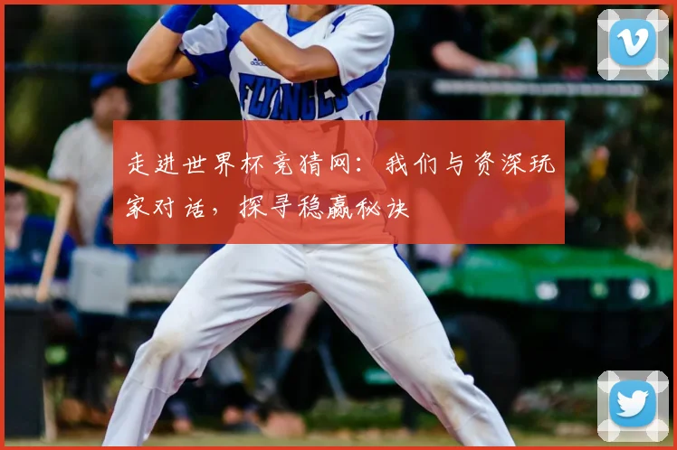 走进世界杯竞猜网：我们与资深玩家对话，探寻稳赢秘诀