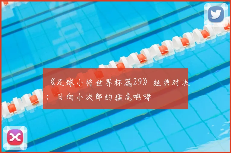 《足球小将世界杯篇29》经典对决:日向小次郎的猛虎咆哮
