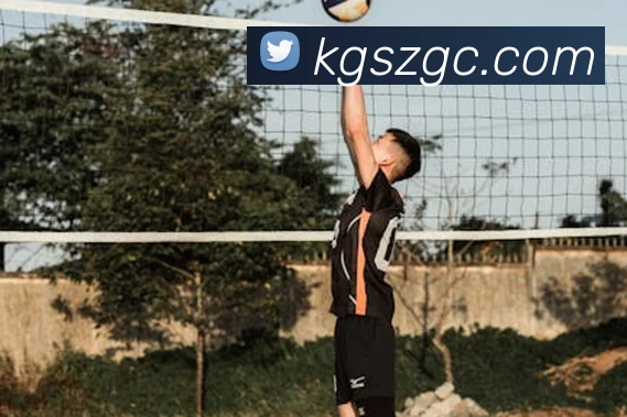 新爱体育app官方版品牌故事